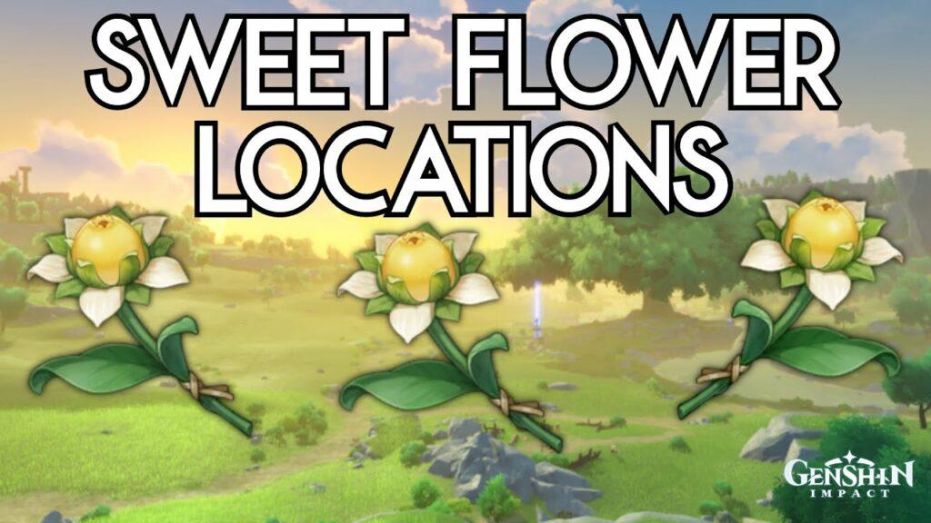 Genshin Impact Sweet Flower Location How to find in 3 steps