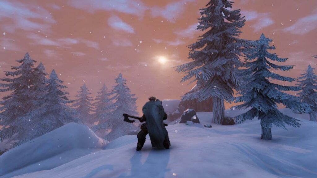 player preparing night woods valheim