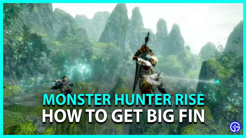 Monster Hunter Rise Guide for big fin