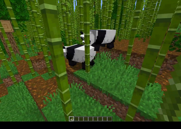 Minecraft Find Panda