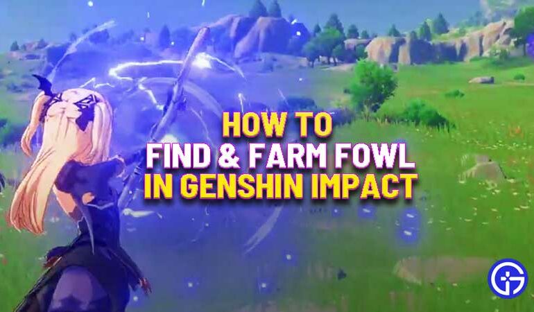 find-fowl-in-genshin-impact