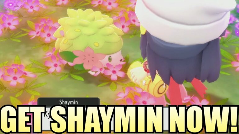 Guide-to-Catch-Shaymin