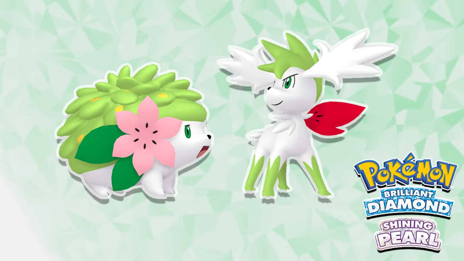 shaymin-in-pokemon-brilliant-diamond-and-shining-pearl