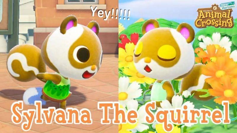 Animal Crossing New Horizon All Squirrel Villagers