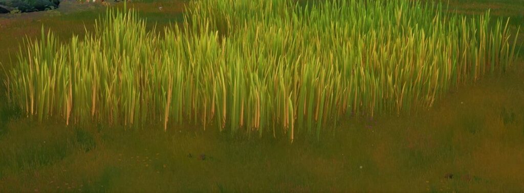 Tall Grass in Fortnite Chapter 3 1