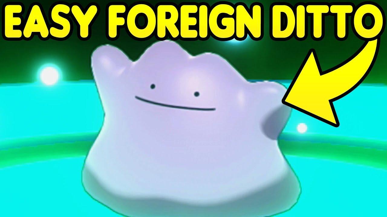 Pokemon Sword & Shield Fastest Way to Obtain A Foreign Ditto