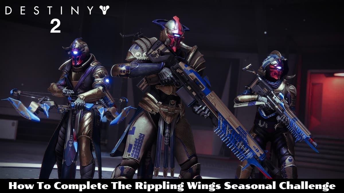 Destiny-2_-How-To-Complete-The-Rippling-Wings-Seasonal-Challenge